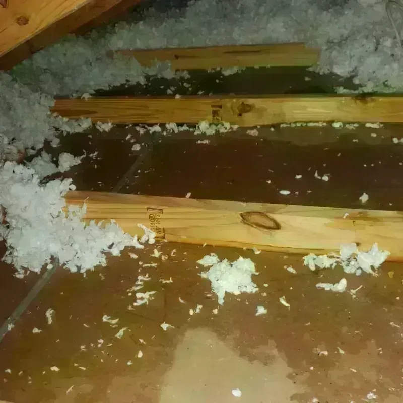 Attic Water Damage in Canadian Lakes, MI